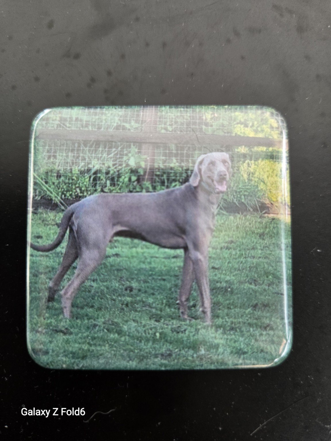 Gru on the farm personalised magnet example