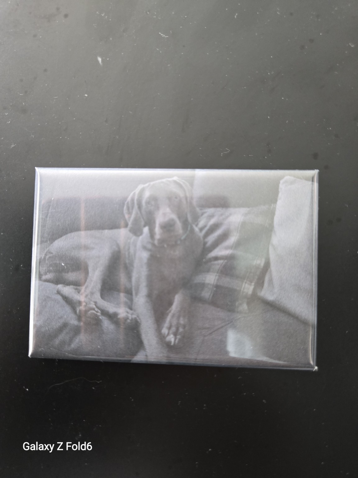 Pet portrait personalised magnet example