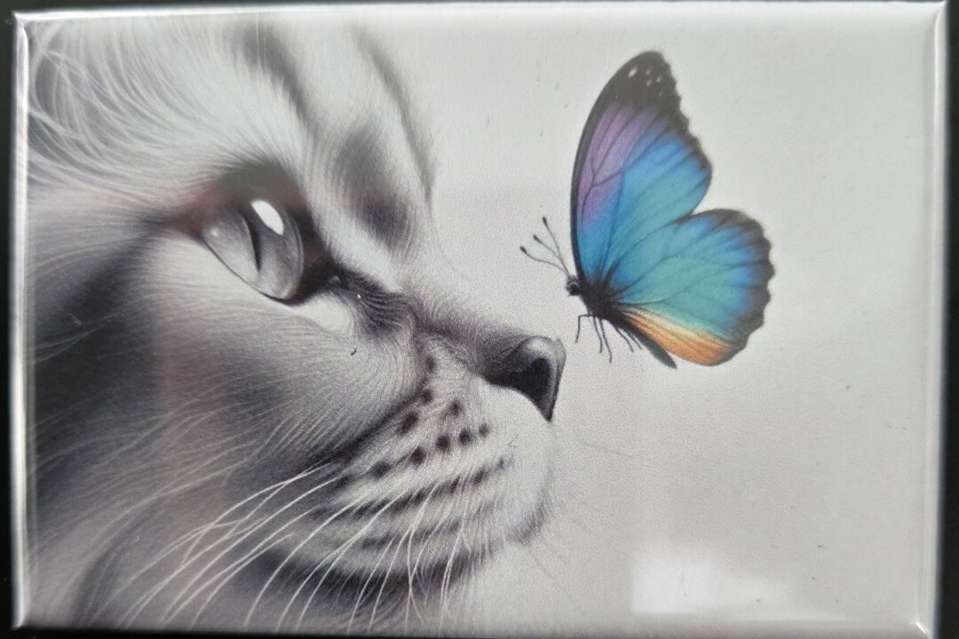 Cat & Butterfly handmade fridge magnet