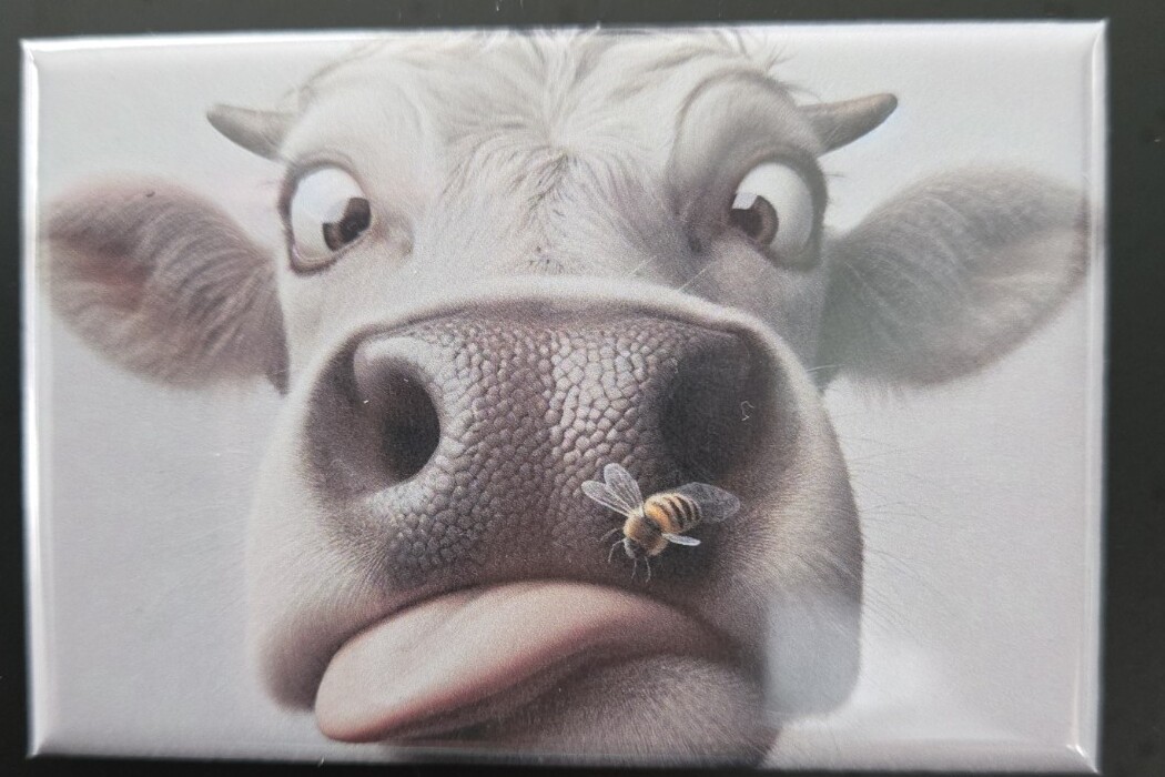 Curious Cow handmade fridge magnet